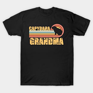 Vintage Retro Sunset Capybara Grandma T-Shirt